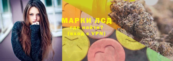 гашик Вяземский