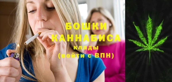 амф Горнозаводск