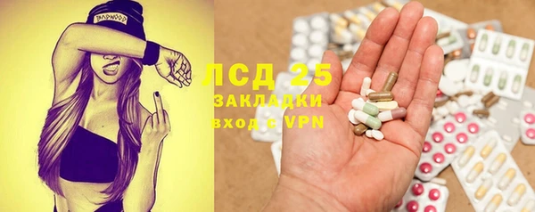 шишки Вязники