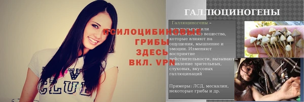 гашик Вяземский