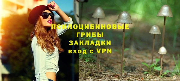 амф Горнозаводск